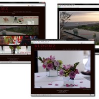 Websites Bloomz Flowers