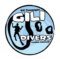 Gili Logo